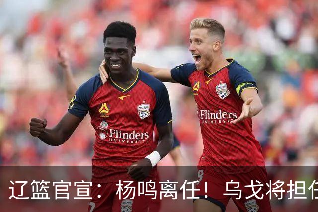 辽篮官宣：杨鸣离任！乌戈将担任辽宁男篮主帅